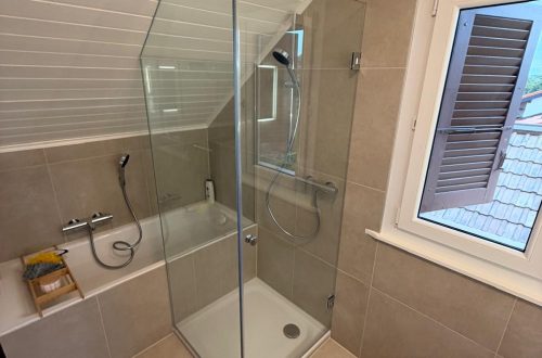 Chantier de paroi et porte de douche sur mesure à Collex-Bossy par RG Vitrerie